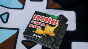 Jeux vid&eacute;o: une centaine de salari&eacute;s en gr&egrave;ve au studio Don't Nod