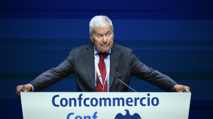Sangalli, 'contro caro-energia agire subito, a rischio consumi e crescita'