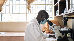Researchers brave relentless violence to work in DR Congo
 