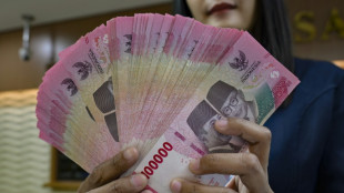 Indonesian rupiah falls to record low against US dollar