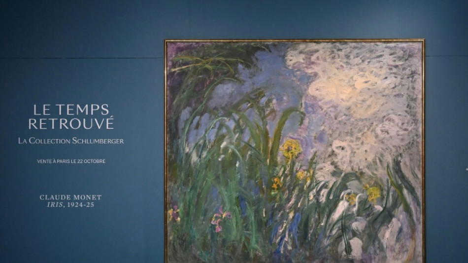 Two unseen Monet paintings to be sold in Paris: auction house 