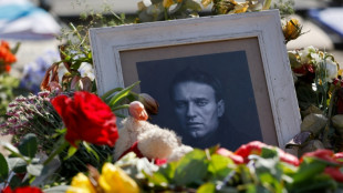 US intel suggests Putin may not have ordered Navalny death in prison: WSJ