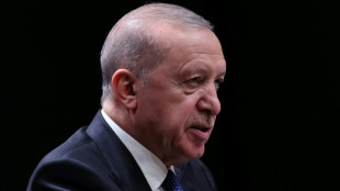 Erdogan reist zu Dreier-Gipfel mit Pakistan nach Saudi-Arabien