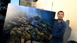 La photo de coraux géants d'Alexis Rosenfeld: l'espoir venu des fonds