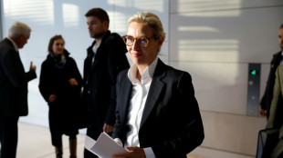 Allemagne : succ&egrave;s judiciaire pour l'AfD, qui n'est pas un parti "extr&eacute;miste" &agrave; ce stade