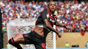 "Vida de insectos": el Flamengo se burla del Chelsea en redes sociales