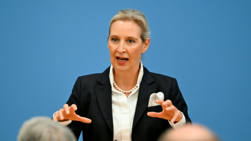 AfD-Ko-Chefin Weidel: Hitler war "Linksextremist"