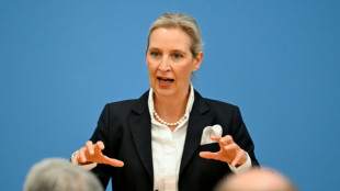 AfD-Ko-Chefin Weidel: Hitler war "Linksextremist"