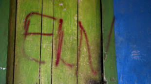 ELN afirma que libertou todos os ref&eacute;ns na Col&ocirc;mbia