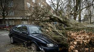 13 dead as Storm Eunice hits power, transport in Europe