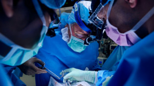 US surgeons transplant pig kidney to live patient for second time