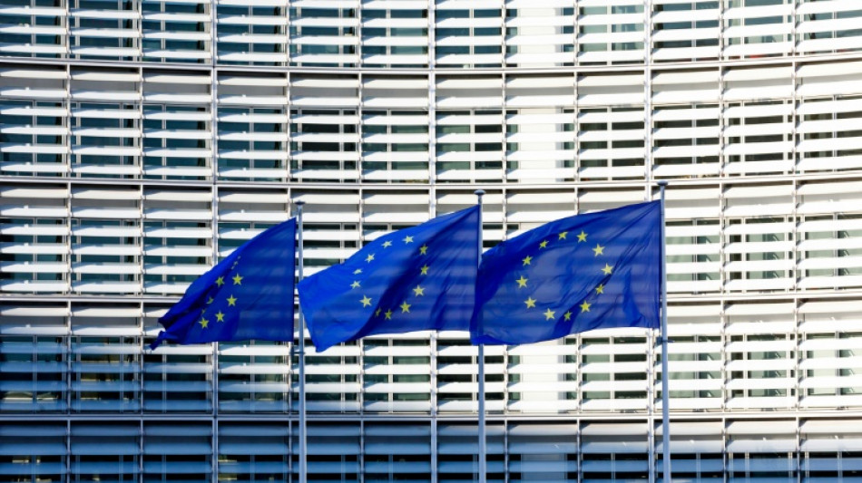 L'UE cherche &agrave; mobiliser pour la transition et la reconstruction de la Syrie