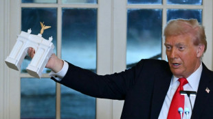Trump: In Washington geplanter Triumphbogen soll auch als Armeest&uuml;tzpunkt dienen