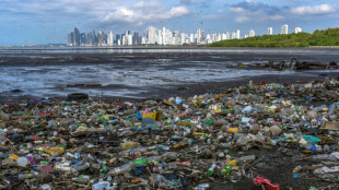 Los residuos plásticos están presentes de forma masiva en todos los océanos (informe)