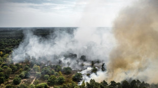 Waldbrand breitet sich in Naturschutzgebiet im S&uuml;dosten der Niederlande aus