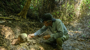 Voluntarios japoneses buscan restos de los muertos en la batalla de Okinawa
