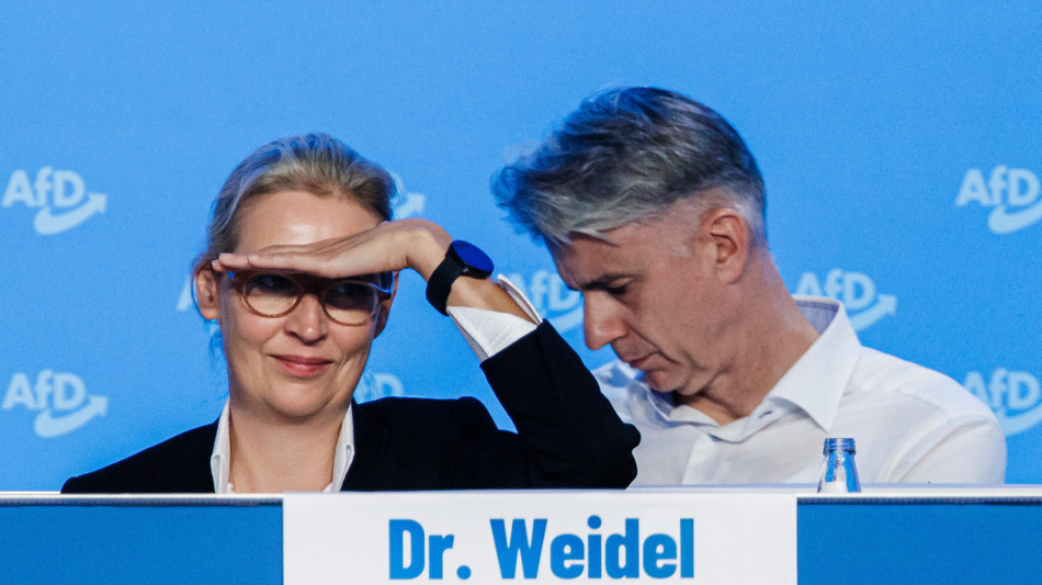 AfD, riprenderci il Sudtirolo? Una stupidaggine