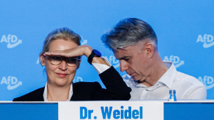 AfD, riprenderci il Sudtirolo? Una stupidaggine