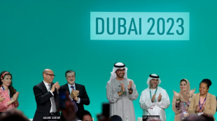 Dubai summit adopts world-first 'transition' from fossil fuels