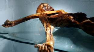 Scientists find yeast in ancient Iceman's guts -- and make bread