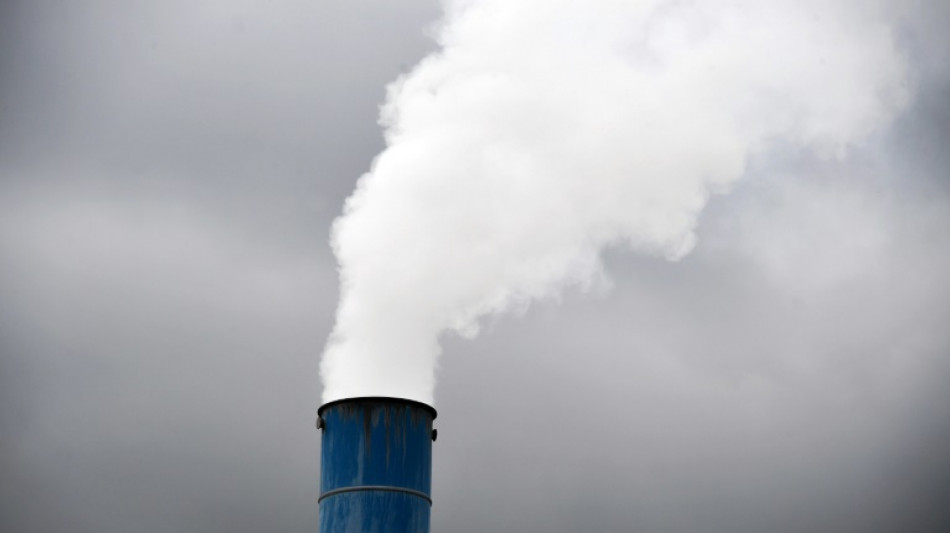 Countries risk 'paying polluters' billions to regulate for climate: UN expert