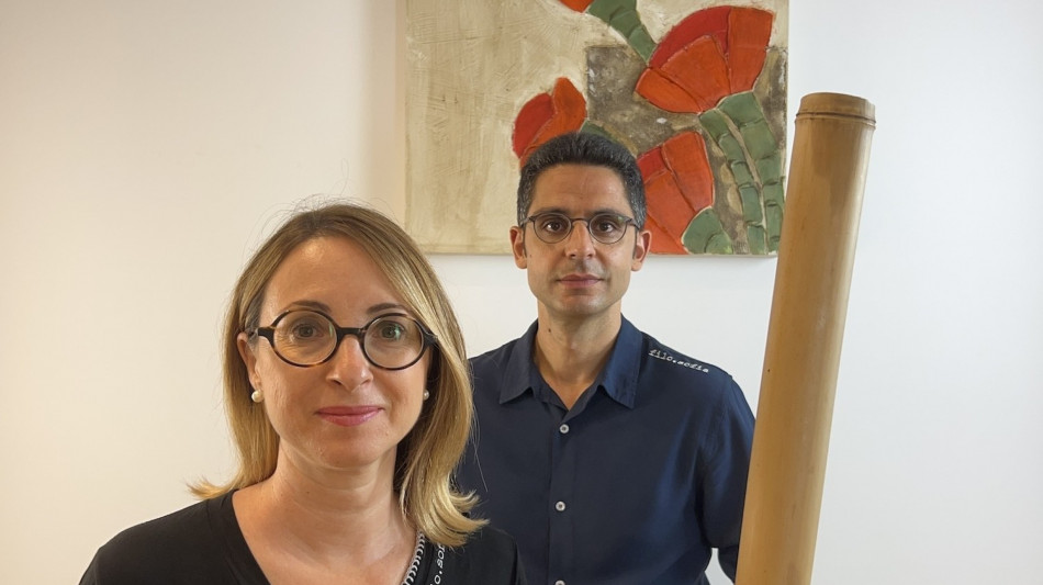 Moda, start-up crea capi sostenibili in filato di bamb&ugrave;