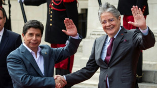 Renuncia el canciller de Per&uacute;, el cuarto en 14 meses de gobierno de Castillo