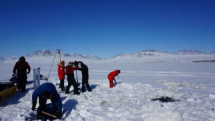 Climate change may boost Arctic 'virus spillover' risk