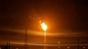 Global oil demand to dip in 2030, first drop since Covid: IEA