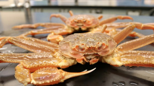 Warming waters 'key culprit' in Alaska crab mass die-off