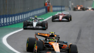 Norris gewinnt in Brasilien, Verstappen mit Aufholjagd