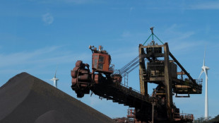 ArcelorMittal sees financial 'risk' in decarbonisation