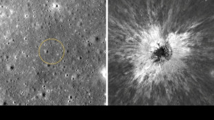 NASA scan discovers new, 'once in a century' Moon crater