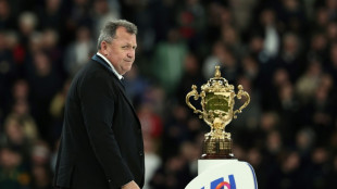 Former All Blacks coach Foster makes Japan move