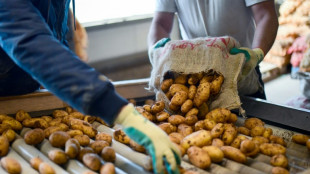 Industrie erwartet niedrige Kartoffelernte wegen extremer Trockenheit 