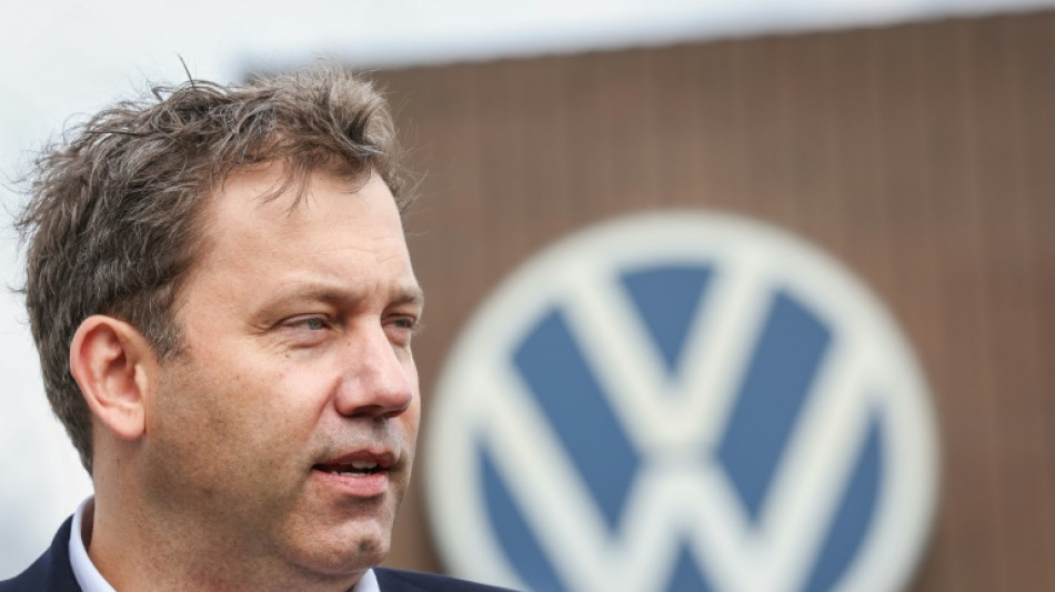 Germany urges EU action against China to defend carmakers
