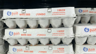 Beh&ouml;rde rechnet an Ostern nicht mit Eierknappheit in Deutschland