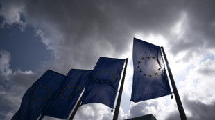 Kritik an deutschen Grenzkontrollen beim Treffen der EU-Innenminister