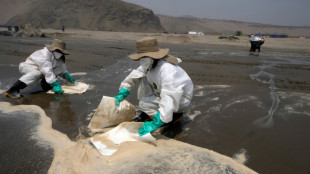Da&ntilde;o "irreparable" deja en &aacute;reas protegidas de Per&uacute; el derrame, dice experto
