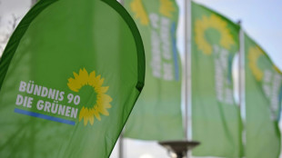 Kleiner Parteitag: Grünen rufen zur Verteidigung der EU auf