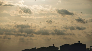 A l'Assemblée, bataille en vue autour de la relance du nucléaire 