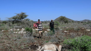 Los desastres climáticos aumentan y amenazan la subsistencia de pastores en Kenia