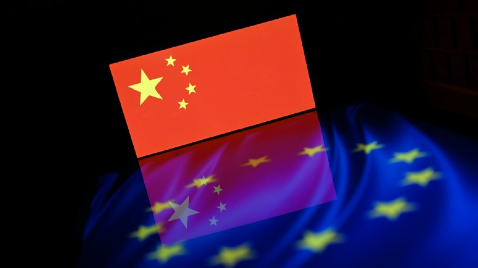 La UE crear&aacute; nuevas herramientas para enfrentar la avalancha de exportaciones de China