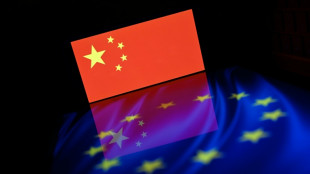 La UE crear&aacute; nuevas herramientas para enfrentar la avalancha de exportaciones de China