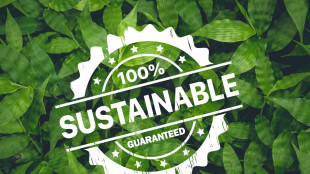 Dal 27 settembre in vigore le nuove norme contro il greenwashing
