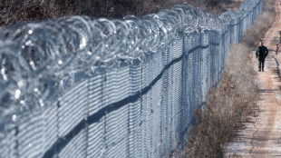 Keep out! Border walls across the world