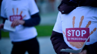 La UE promete controlar mejor las importaciones agrícolas, antes de eventual acuerdo con el Mercosur