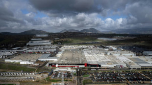 Mexiko will Zölle für Autos aus China auf 50 Prozent erhöhen - Peking empört