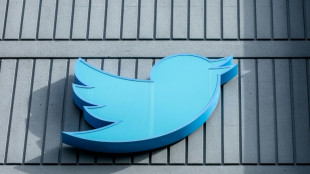 Ausw&auml;rtiges Amt kritisiert Twitter-Sperre f&uuml;r Journalisten