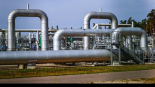 Il gas chiude stabile sotto 30 euro con venti di pace in Ucraina